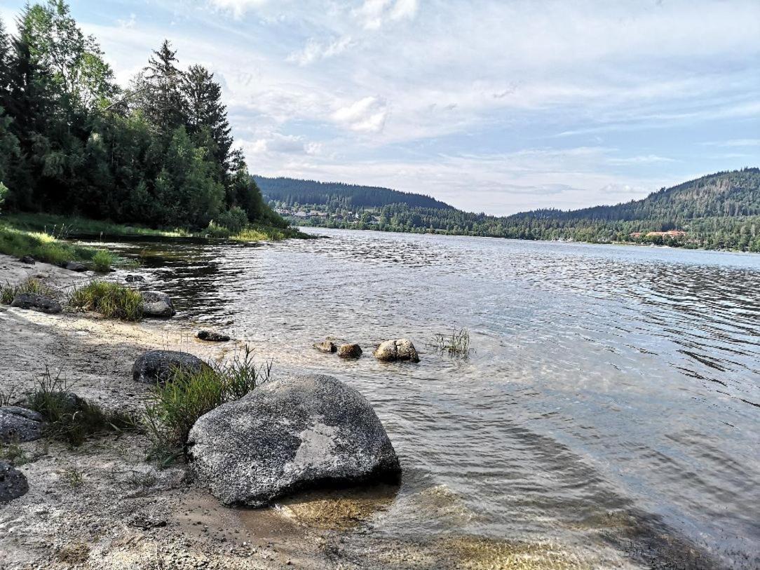 C1 Albmatte-Fewo Sauna, Hallenbad Aussenbecken Massagen Nebenan Menzenschwand-Hinterdorf Dış mekan fotoğraf