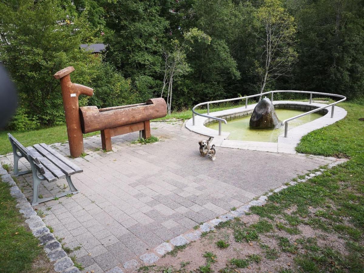 C1 Albmatte-Fewo Sauna, Hallenbad Aussenbecken Massagen Nebenan Menzenschwand-Hinterdorf Dış mekan fotoğraf