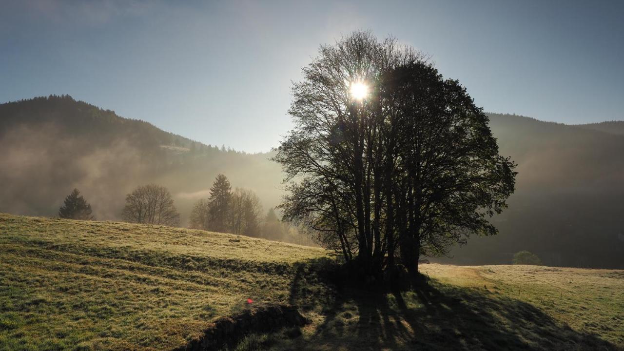 C1 Albmatte-Fewo Sauna, Hallenbad Aussenbecken Massagen Nebenan Menzenschwand-Hinterdorf Dış mekan fotoğraf