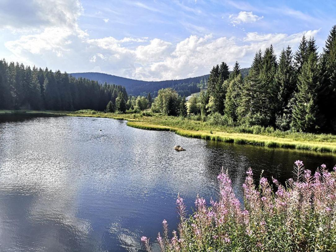 C1 Albmatte-Fewo Sauna, Hallenbad Aussenbecken Massagen Nebenan Menzenschwand-Hinterdorf Dış mekan fotoğraf