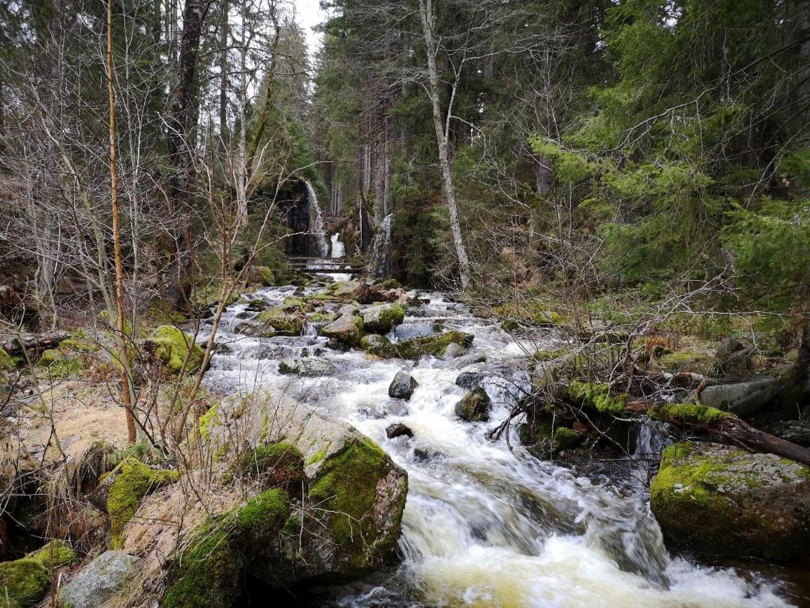 C1 Albmatte-Fewo Sauna, Hallenbad Aussenbecken Massagen Nebenan Menzenschwand-Hinterdorf Dış mekan fotoğraf