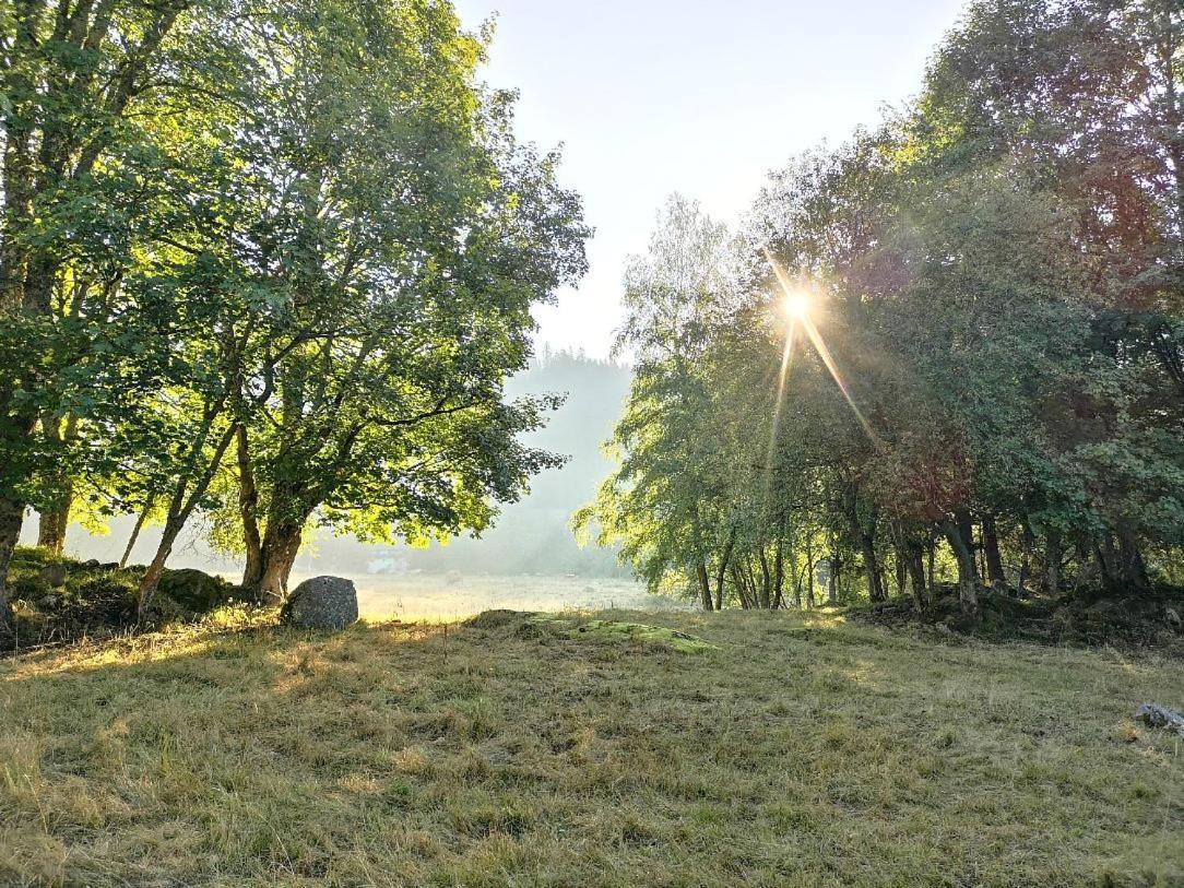 C1 Albmatte-Fewo Sauna, Hallenbad Aussenbecken Massagen Nebenan Menzenschwand-Hinterdorf Dış mekan fotoğraf