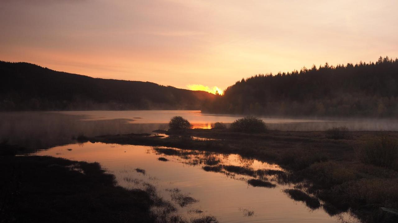 C1 Albmatte-Fewo Sauna, Hallenbad Aussenbecken Massagen Nebenan Menzenschwand-Hinterdorf Dış mekan fotoğraf