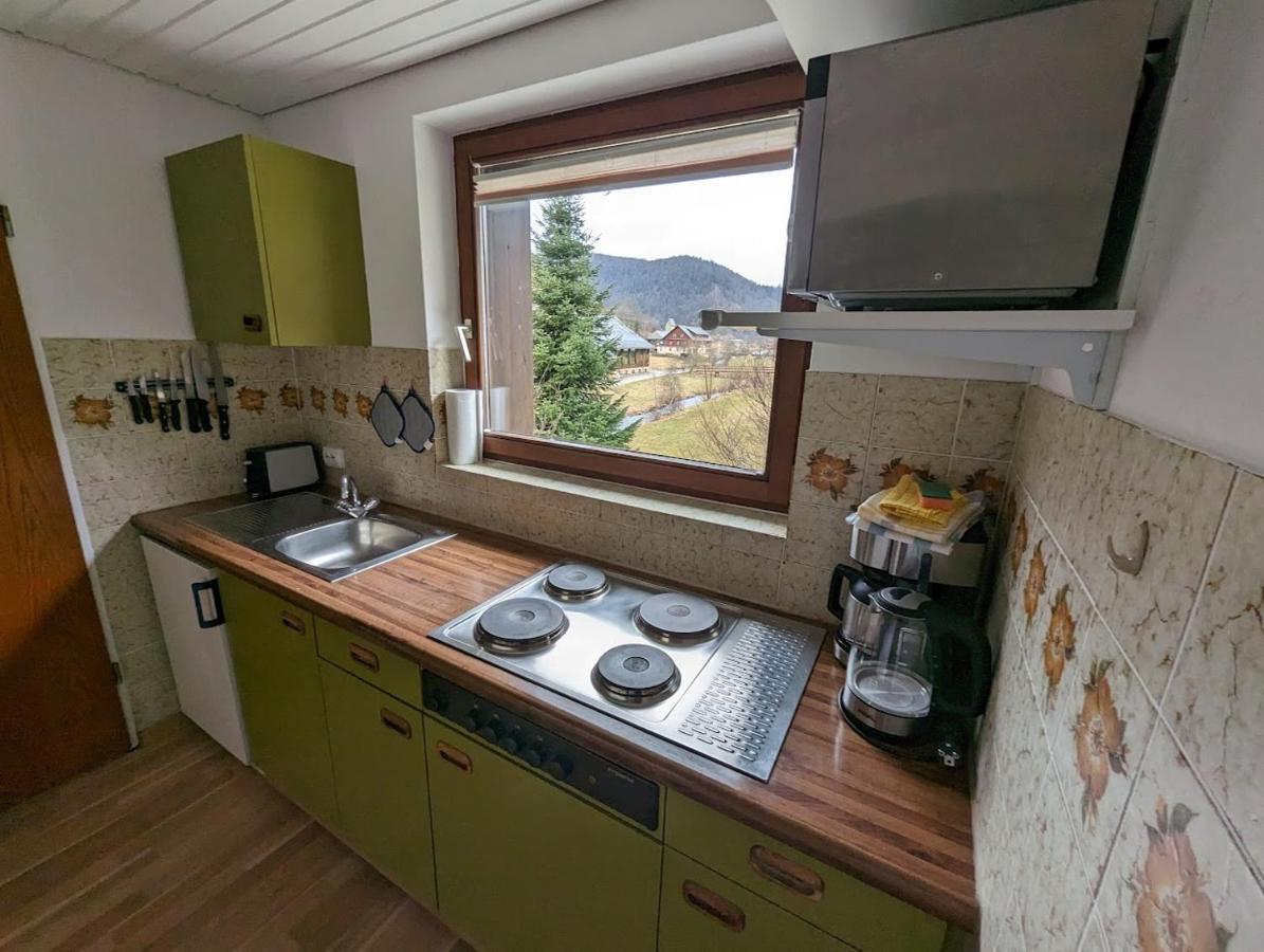 C1 Albmatte-Fewo Sauna, Hallenbad Aussenbecken Massagen Nebenan Menzenschwand-Hinterdorf Dış mekan fotoğraf