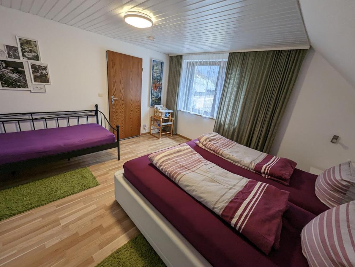 C1 Albmatte-Fewo Sauna, Hallenbad Aussenbecken Massagen Nebenan Menzenschwand-Hinterdorf Dış mekan fotoğraf