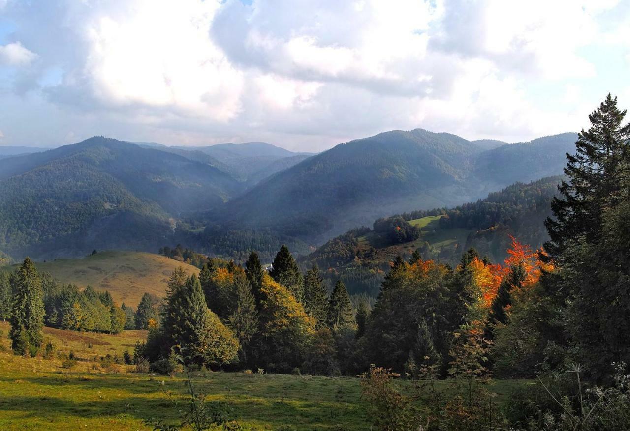 C1 Albmatte-Fewo Sauna, Hallenbad Aussenbecken Massagen Nebenan Menzenschwand-Hinterdorf Dış mekan fotoğraf