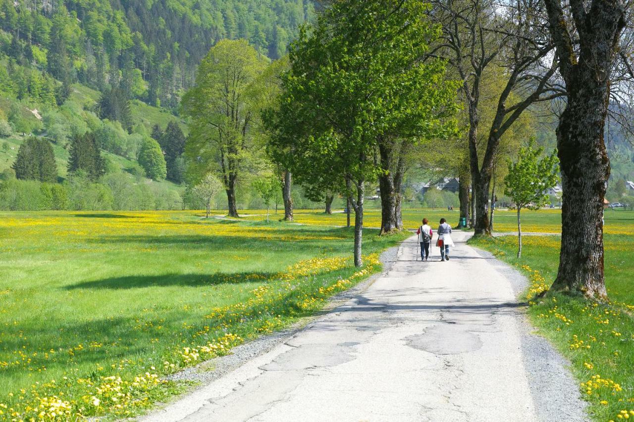 C1 Albmatte-Fewo Sauna, Hallenbad Aussenbecken Massagen Nebenan Menzenschwand-Hinterdorf Dış mekan fotoğraf