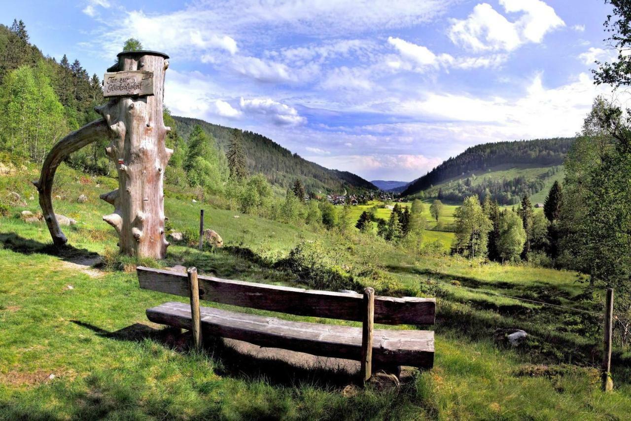 C1 Albmatte-Fewo Sauna, Hallenbad Aussenbecken Massagen Nebenan Menzenschwand-Hinterdorf Dış mekan fotoğraf