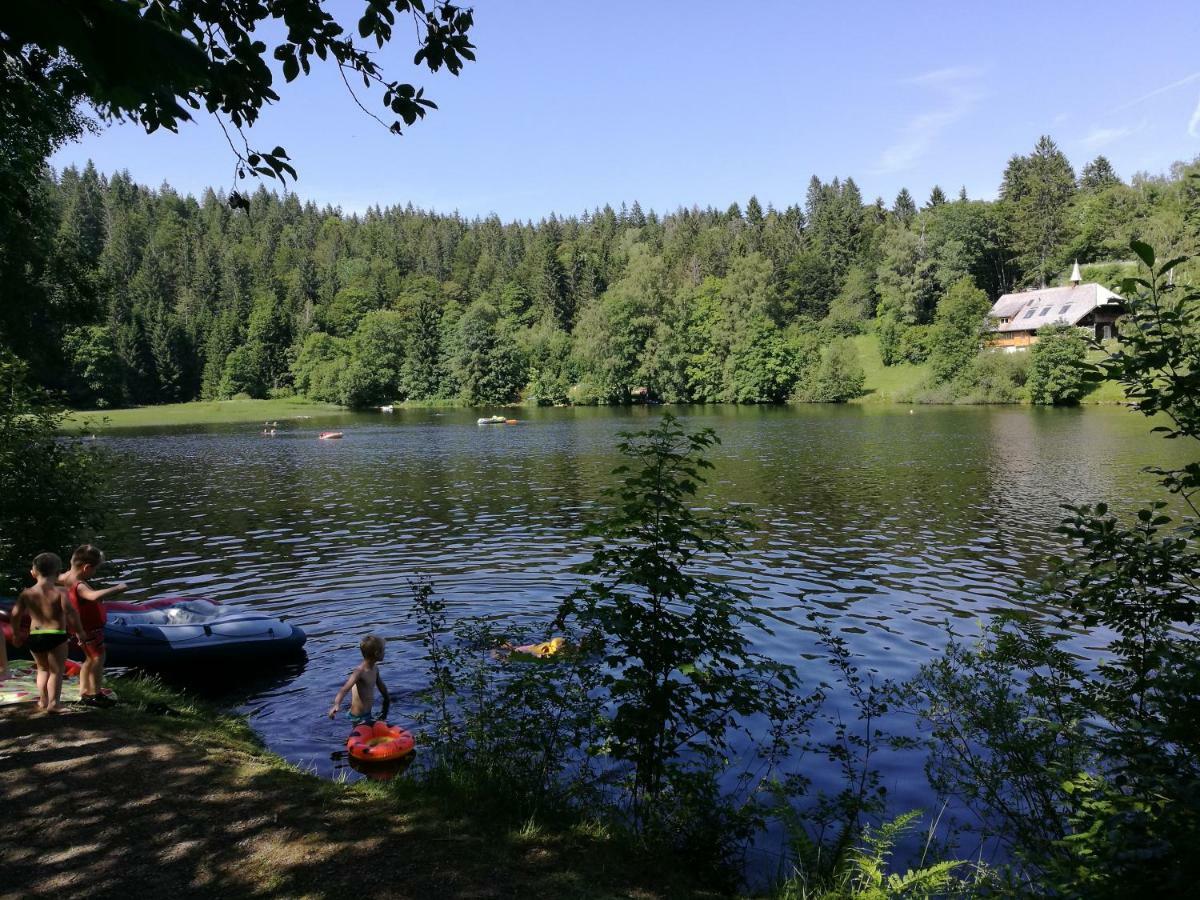 C1 Albmatte-Fewo Sauna, Hallenbad Aussenbecken Massagen Nebenan Menzenschwand-Hinterdorf Dış mekan fotoğraf