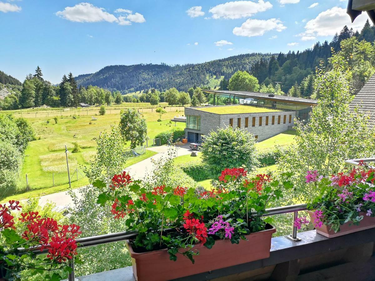 C1 Albmatte-Fewo Sauna, Hallenbad Aussenbecken Massagen Nebenan Menzenschwand-Hinterdorf Dış mekan fotoğraf