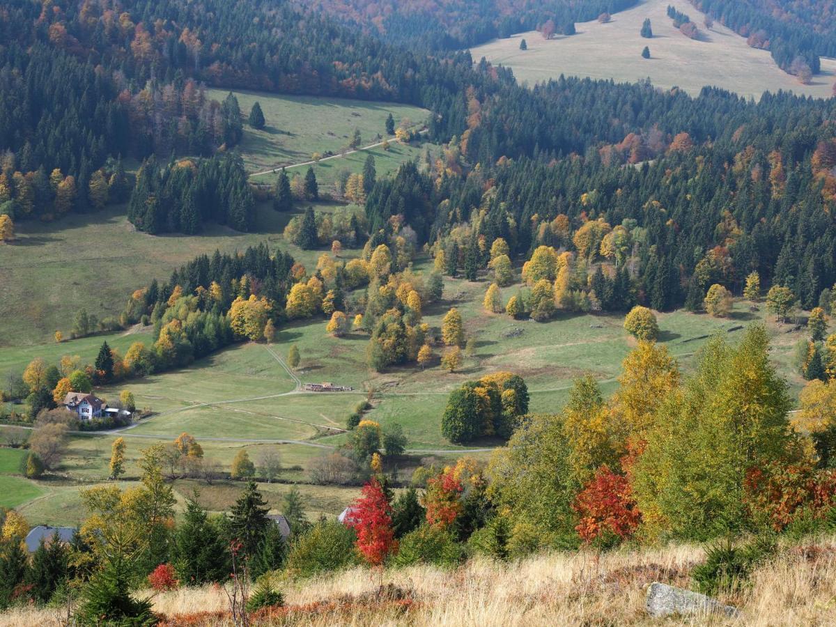 C1 Albmatte-Fewo Sauna, Hallenbad Aussenbecken Massagen Nebenan Menzenschwand-Hinterdorf Dış mekan fotoğraf